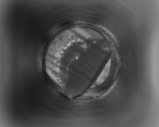 X0000087600921200705181234