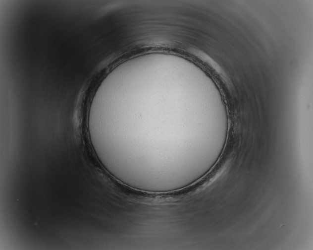 X0000087600922200705181234