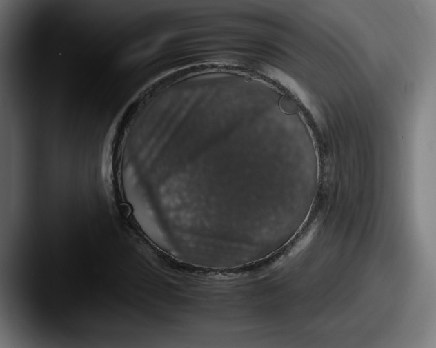 X0000087600923200705181234