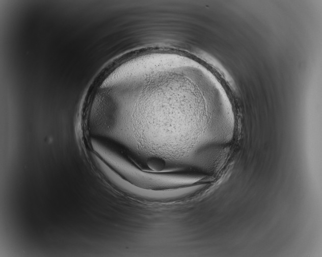 X0000087600924200705181234