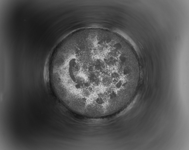 X0000087600925200705181234