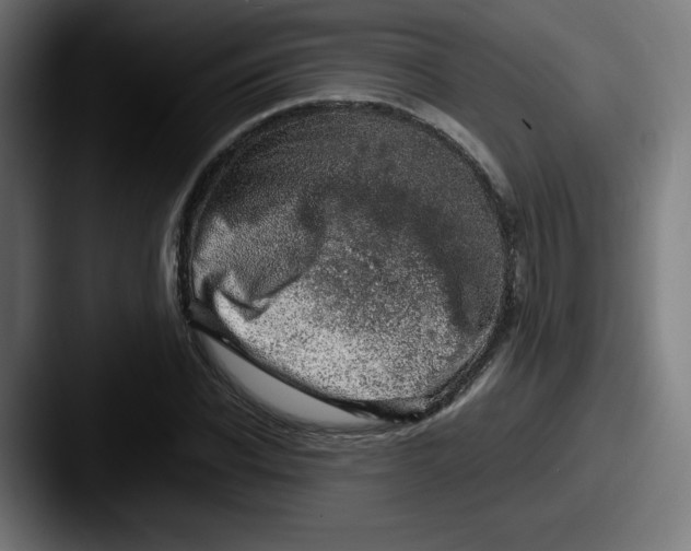 X0000087600926200705181234