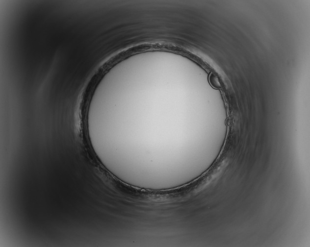 X0000087600927200705181234