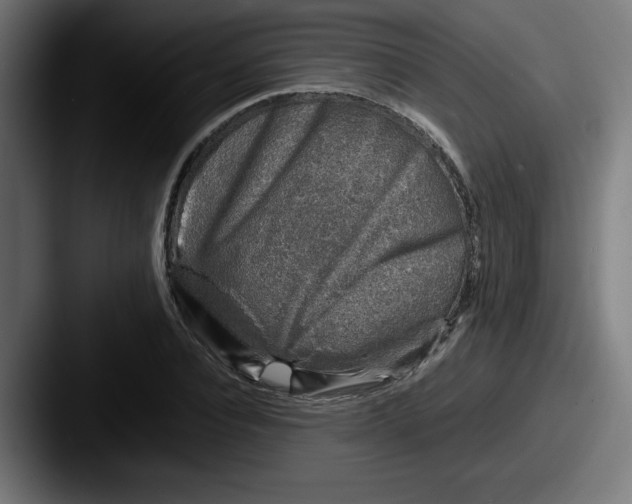 X0000087600928200705181234