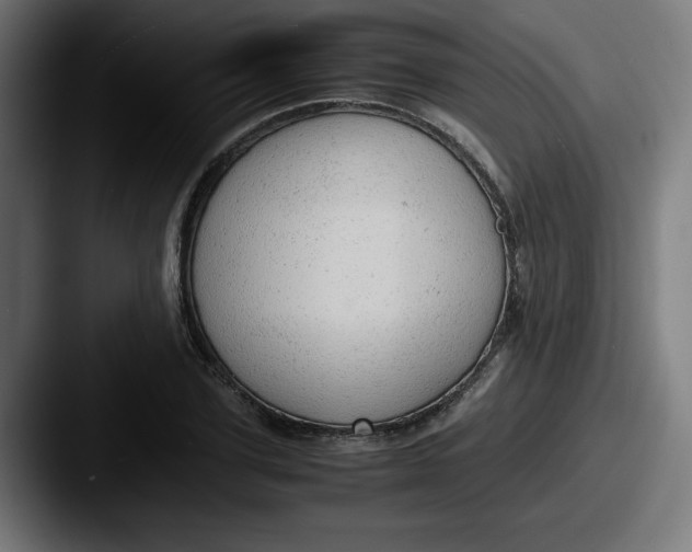 X0000087600931200705181234
