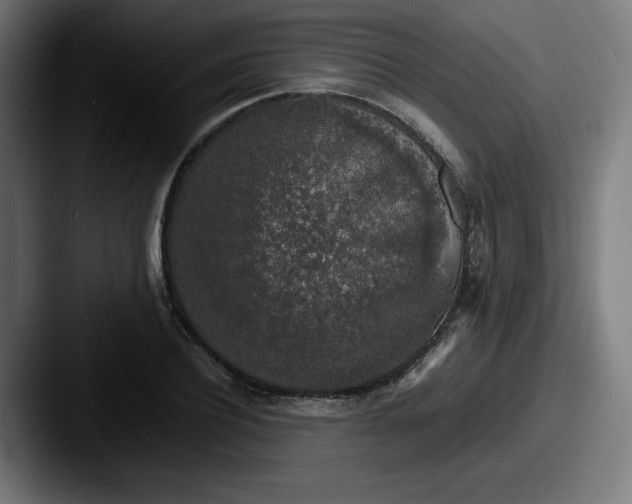 X0000087600932200705181234