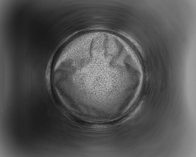 X0000087600933200705181234