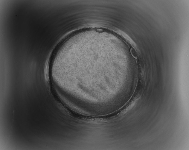 X0000087600934200705181234