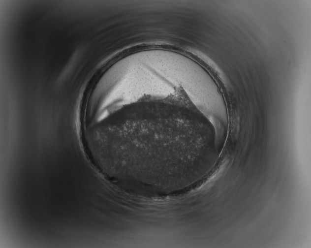 X0000087600935200705181234