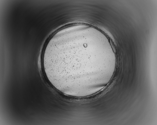 X0000087600936200705181235