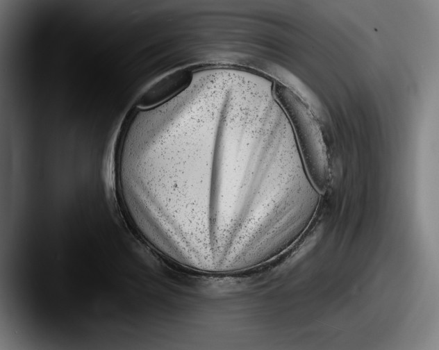 X0000087600940200705181235