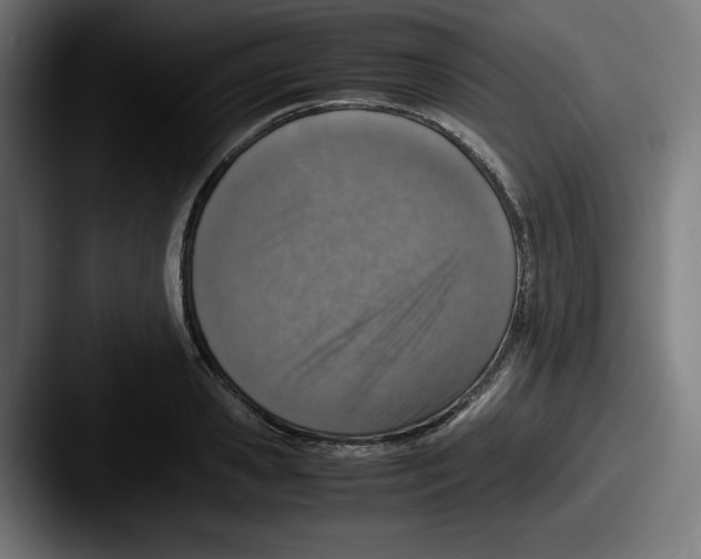 X0000087600941200705181235