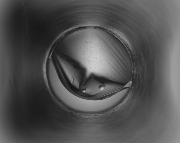 X0000087600942200705181235