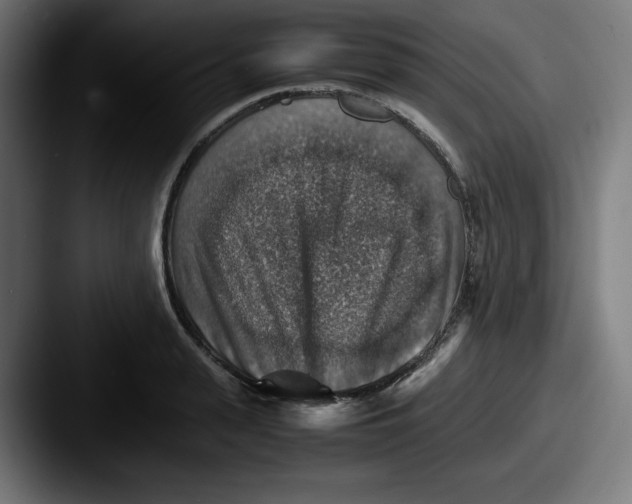 X0000087600943200705181235