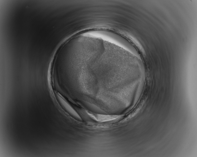 X0000087600944200705181235