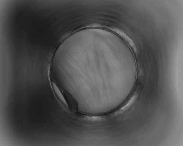 X0000087600945200705181235