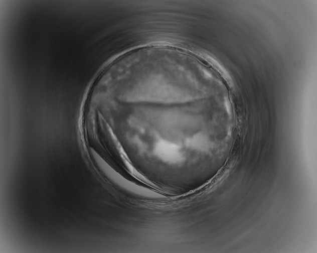 X0000087600948200705181235