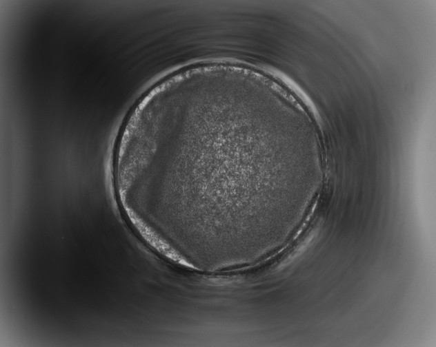 X0000087600951200705181235