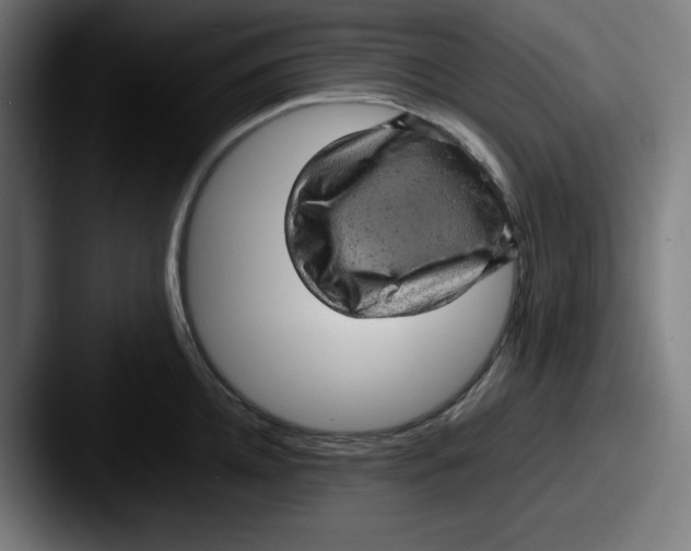 X0000087600952200705181235