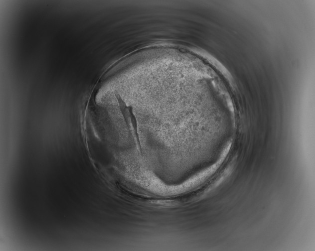 X0000087600953200705181235