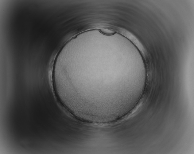 X0000087600954200705181235