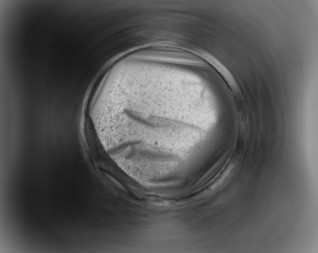 X0000087600956200705181235