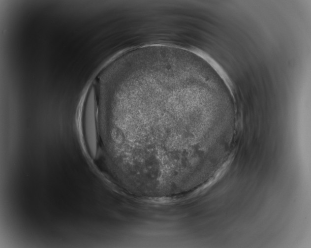 X0000087600957200705181235