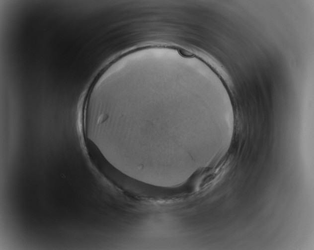 X0000087600958200705181235