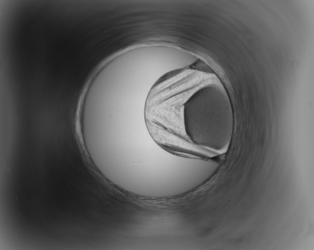 X0000087600960200705181235