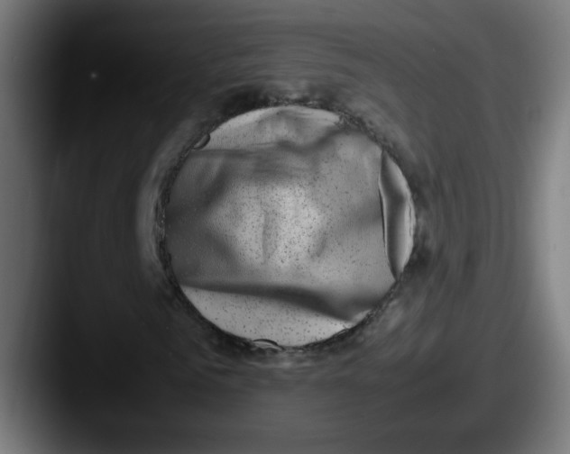 X0000087600961200705181234