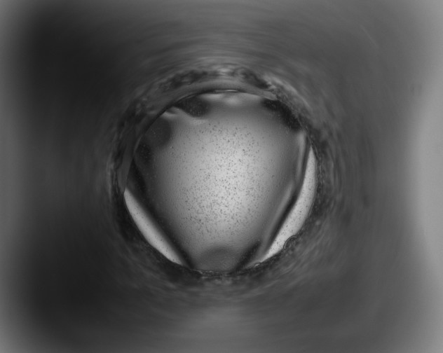 X0000087600965200705181234