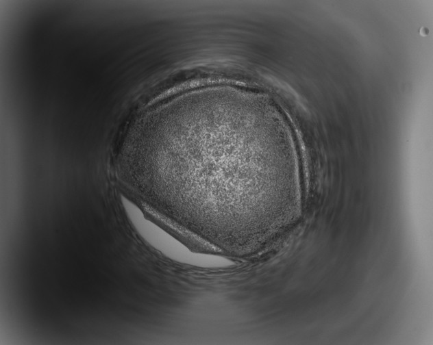 X0000087600966200705181234