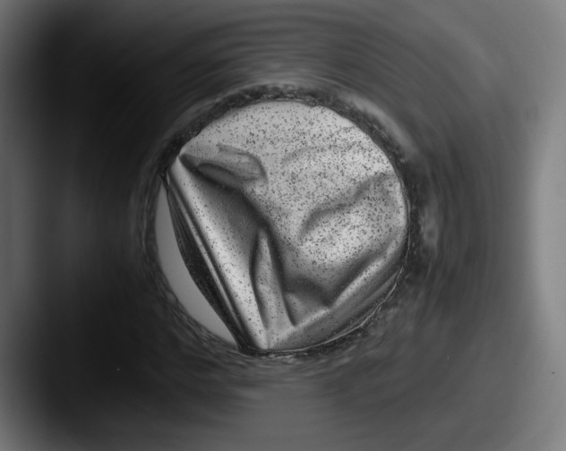 X0000087600968200705181234