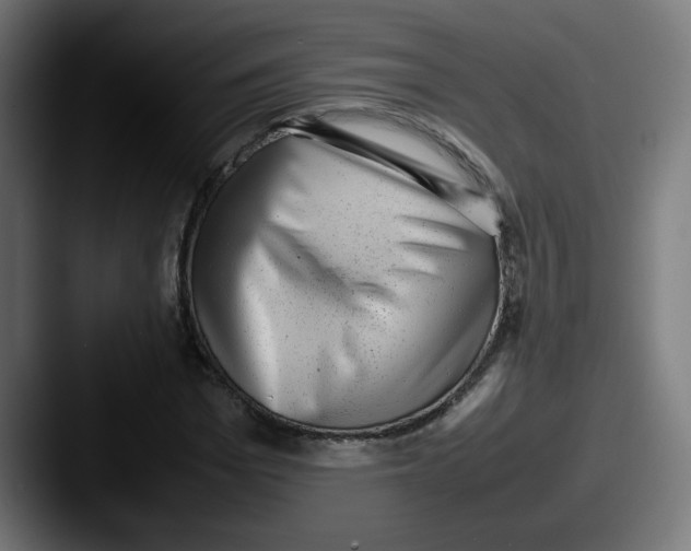 X0000087600969200705181234