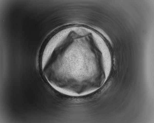 X0000087600972200705181234