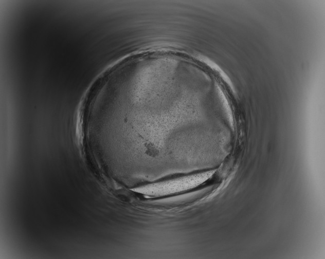 X0000087600973200705181234