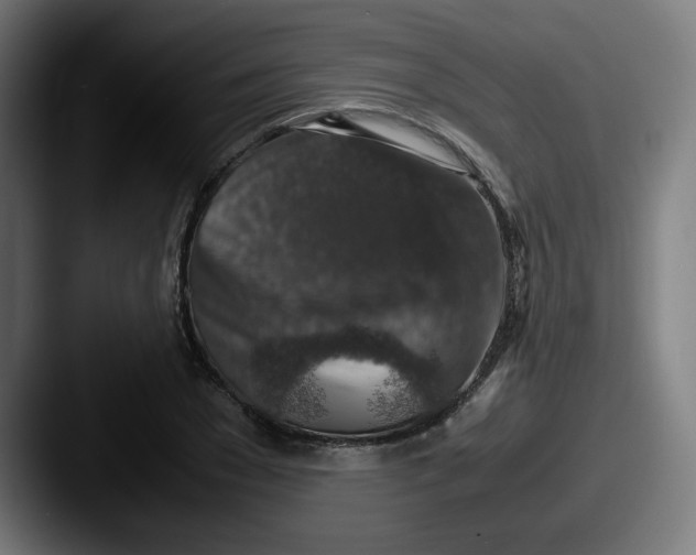 X0000087600977200705181234
