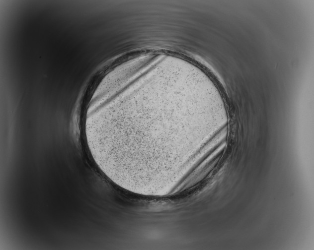 X0000087600979200705181234