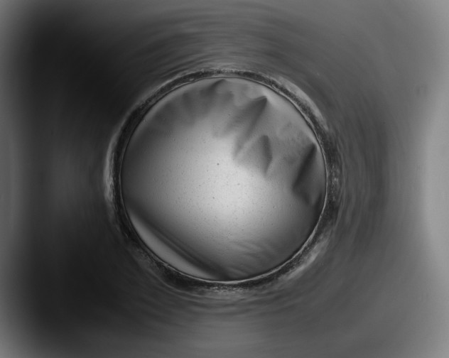 X0000087600981200705181234