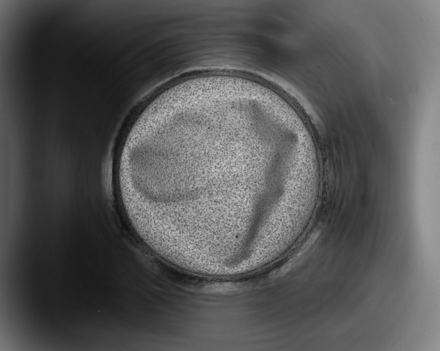 X0000087600982200705181234
