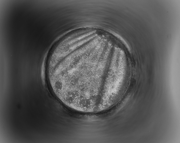 X0000087600983200705181234