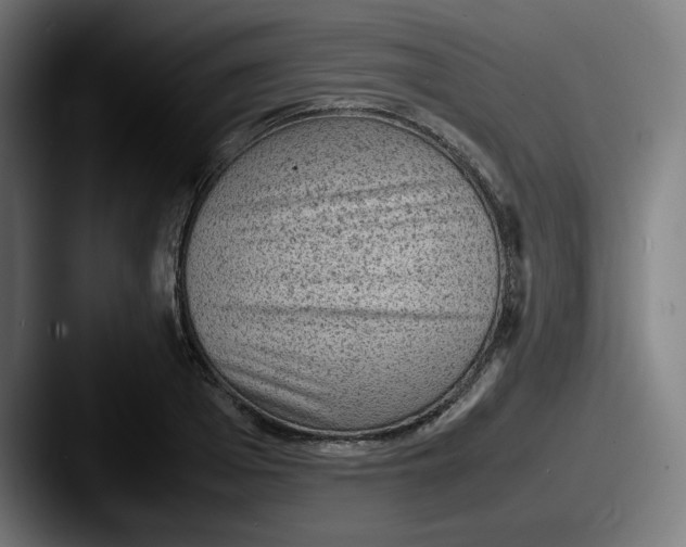 X0000087600985200705181234
