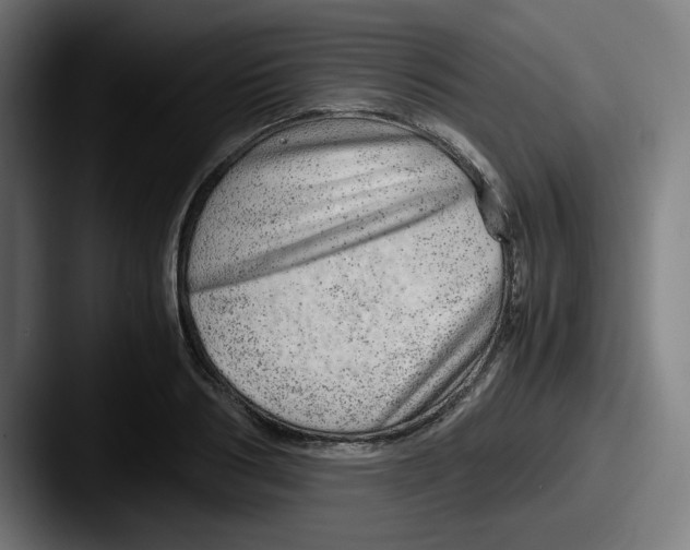 X0000087600986200705181234