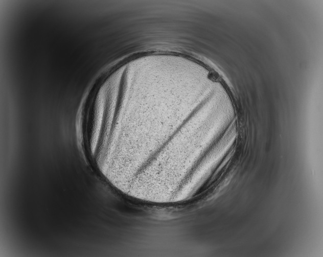 X0000087600987200705181234