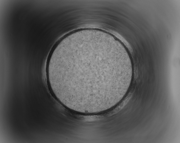X0000087600988200705181234