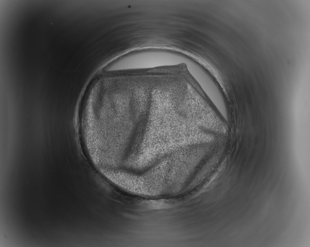 X0000087600990200705181234