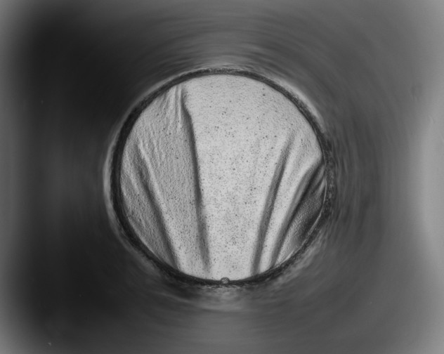 X0000087600991200705181234