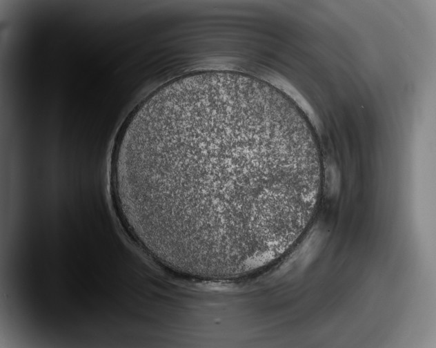 X0000087600994200705181234