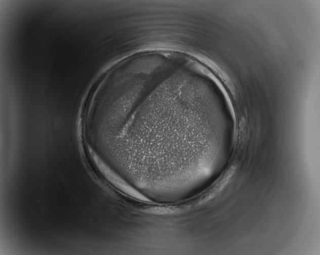 X0000087600998200705181234