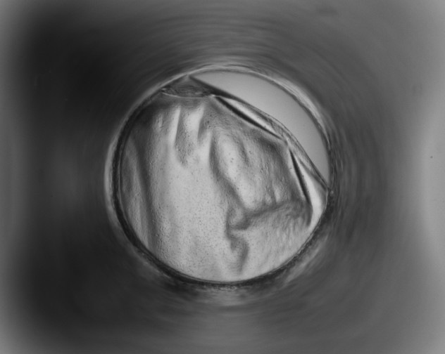 X0000087600999200705181234